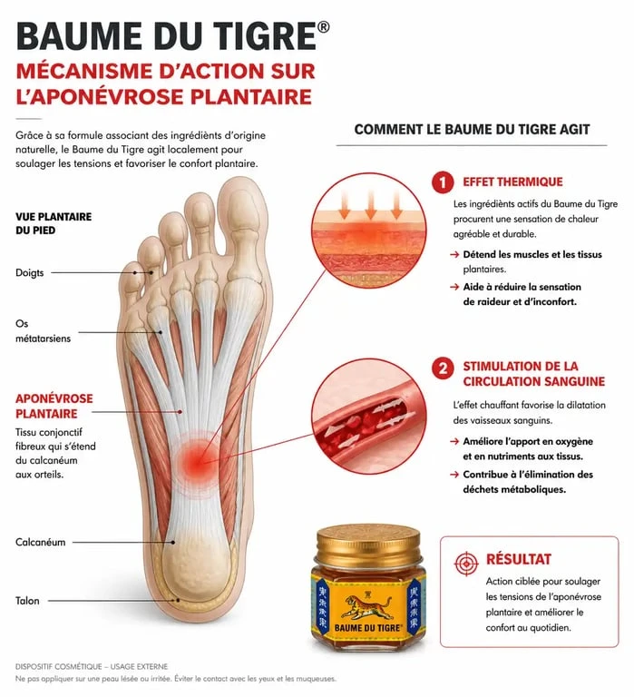 Infographie montrant le mécanisme d'action du baume du tigre sur l'aponévrosite plantaire