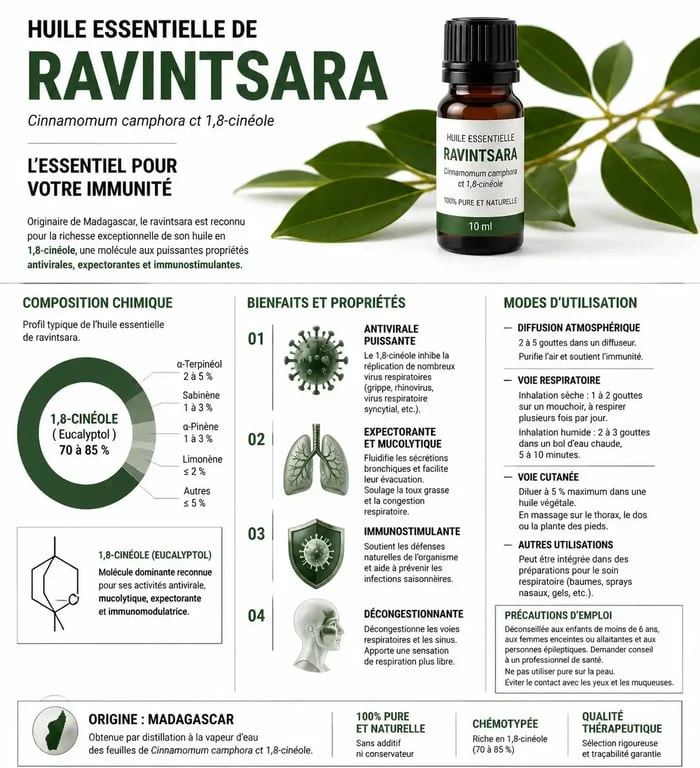 Infographie des bienfaits et usages de l'huile essentielle de ravintsara pour la santé