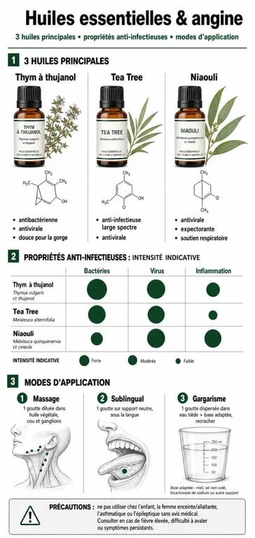 Infographie récapitulative des huiles essentielles pour l'angine : propriétés, méthodes d'application et conseils de sécurité.
