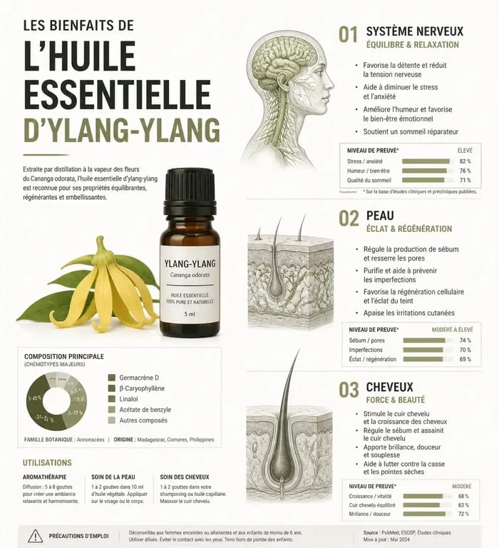 Infographie des bienfaits de l'huile essentielle d'ylang-ylang pour la santé et la beauté