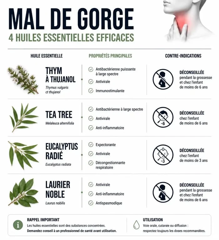 Infographie des huiles essentielles pour le mal de gorge : propriétés et précautions d'utilisation
