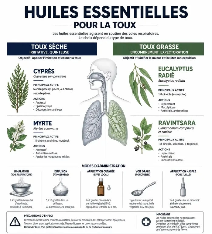 Infographie des huiles essentielles pour la toux sèche et grasse
