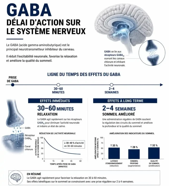 Infographie illustrant le délai d'action du GABA sur le stress et le sommeil