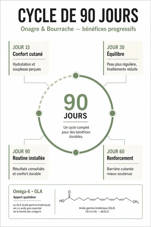 Infographie illustrant la durée d'une cure d'onagre et bourrache pour des résultats optimaux sur la peau et le bien-être