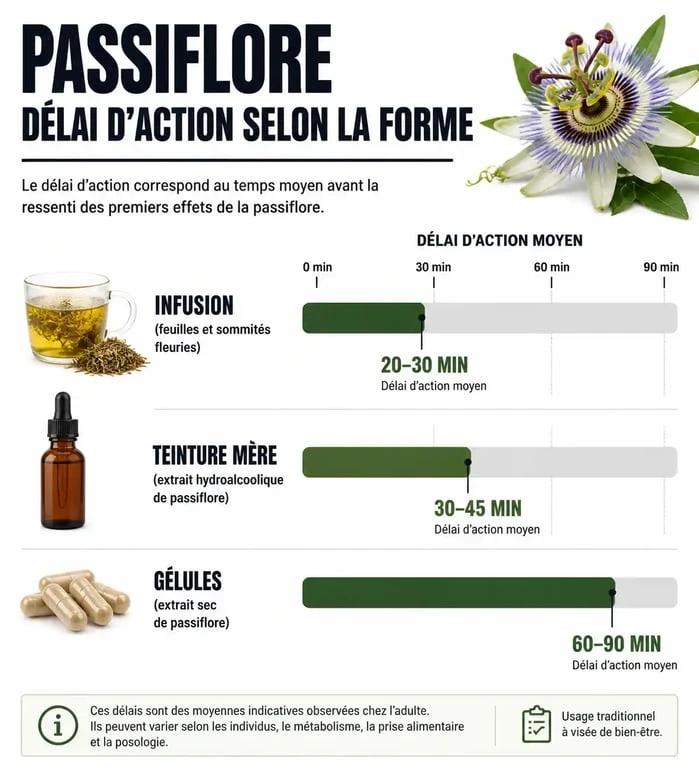 Infographie montrant le délai d'action de la passiflore selon la forme galénique : infusion, teinture mère et gélules.