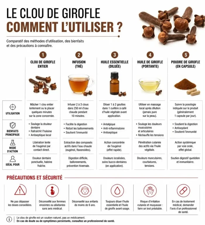 Guide visuel des précautions d'usage du clou de girofle pour les maux de dents